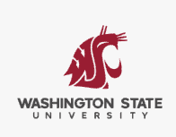 Washington State Univ Logo